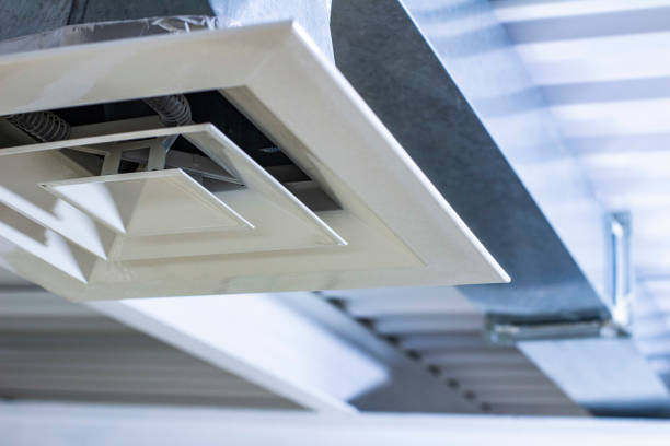 Best Air Vent Cleaning Services  in Sky Lake, FL